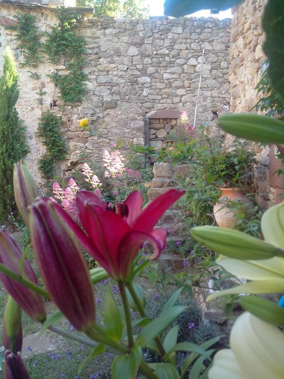 Le Clos De La Source Bed & Breakfast Le Bousquet-d'Orb Dış mekan fotoğraf